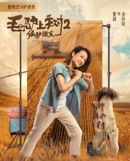 手机看片毛片