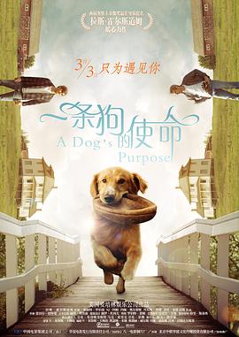 高清修复图片
